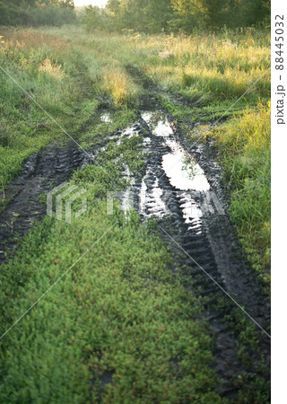 muddy road muddy road 88445032