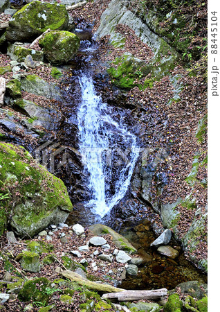 丹沢の七沢山 谷太郎林道三峰山コース 谷太郎川の深沢 丹沢の七沢山 谷太郎林道三峰山コース 谷太郎川の深沢 88445104