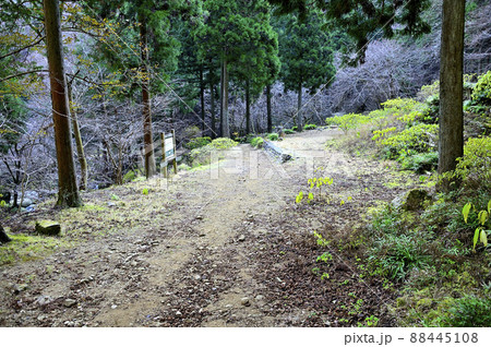 丹沢の三峰山　不動尻 88445108