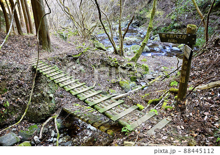丹沢の三峰山 谷太郎川を渡る木橋 丹沢の三峰山 谷太郎川を渡る木橋 88445112