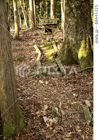 丹沢の大山三峰山 大山三峰縦走コース 山の神の祠 丹沢の大山三峰山 大山三峰縦走コース 山の神の祠 88445325