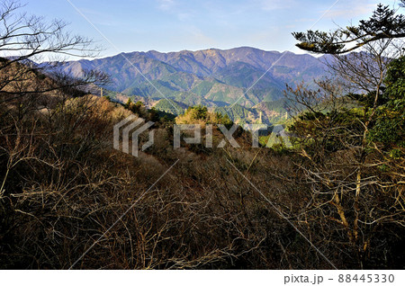 丹沢の大山三峰山より丹沢の山並 88445330