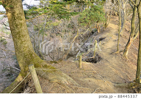 丹沢の大山三峰山 大山三峰縦走コースの路肩が崩落した登山道 丹沢の大山三峰山 大山三峰縦走コースの路肩が崩落した登山道 88445337