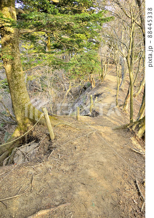 丹沢の大山三峰山 大山三峰縦走コースの路肩が崩落した登山道 丹沢の大山三峰山 大山三峰縦走コースの路肩が崩落した登山道 88445338