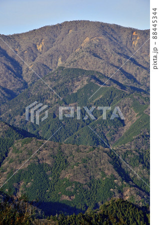 丹沢の大山三峰山より日本百名山の丹沢山を望む 丹沢の大山三峰山より日本百名山の丹沢山を望む 88445344