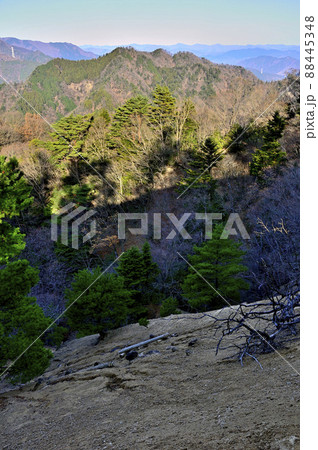 丹沢の大山三峰山より鍋嵐を望む 丹沢の大山三峰山より鍋嵐を望む 88445348