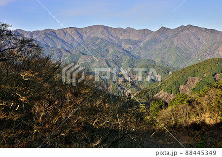 丹沢の大山三峰山より丹沢の山並を望む 丹沢の大山三峰山より丹沢の山並を望む 88445349
