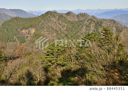 丹沢の大山三峰山より鍋嵐を望む 丹沢の大山三峰山より鍋嵐を望む 88445351