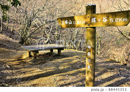 丹沢の大山三峰山 大山三峰縦走コースの登山道 丹沢の大山三峰山 大山三峰縦走コースの登山道 88445353
