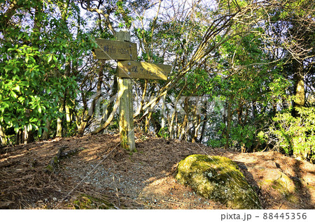 丹沢の大山三峰山 中峰山頂 丹沢の大山三峰山 中峰山頂 88445356