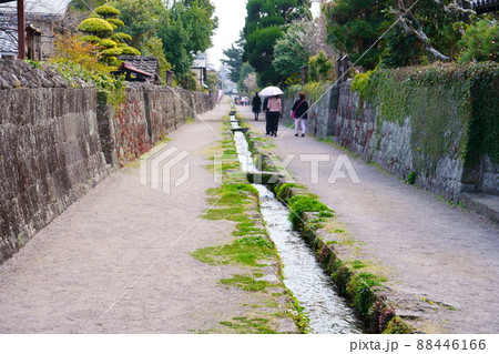 島原武家屋敷街(長崎県島原市) 島原武家屋敷街(長崎県島原市) 88446166