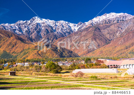《長野県》紅葉最盛期の白馬村・三段紅葉 88446653