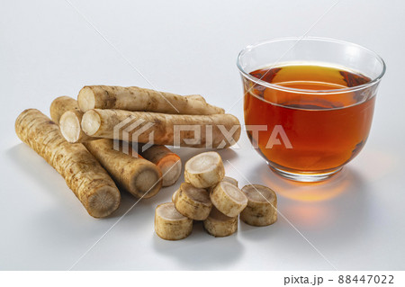 ゴボウとお茶 ゴボウとお茶 88447022
