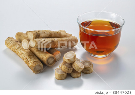 ゴボウとお茶 ゴボウとお茶 88447023