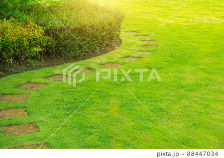 Pathways with green lawns, Landscaping in the garden, Curve walkway on green grass field and flower garden. Pathways with green lawns, Landscaping in the garden, Curve walkway on green grass field and flower garden. 88447034