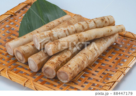 新鮮で美味しいゴボウの小分けカット 新鮮で美味しいゴボウの小分けカット 88447179