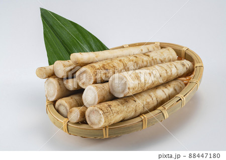 新鮮で美味しいゴボウの小分けカット 新鮮で美味しいゴボウの小分けカット 88447180