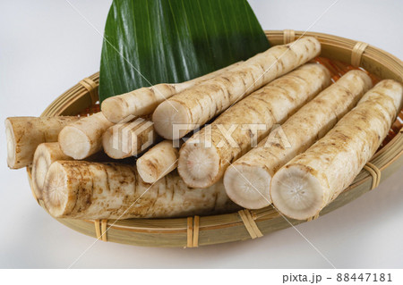 新鮮で美味しいゴボウの小分けカット 新鮮で美味しいゴボウの小分けカット 88447181