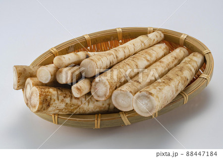 新鮮で美味しいゴボウの小分けカット 88447184