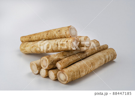 新鮮で美味しいゴボウの小分けカット 新鮮で美味しいゴボウの小分けカット 88447185