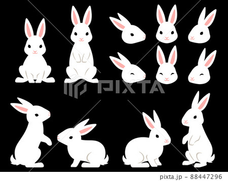 白いウサギのイラストセット 88447296