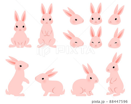 ピンクのウサギのイラストセット 88447596