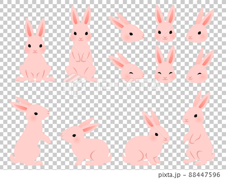 ピンクのウサギのイラストセット 88447596