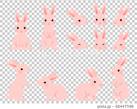 Pink rabbit illustration set 88447596