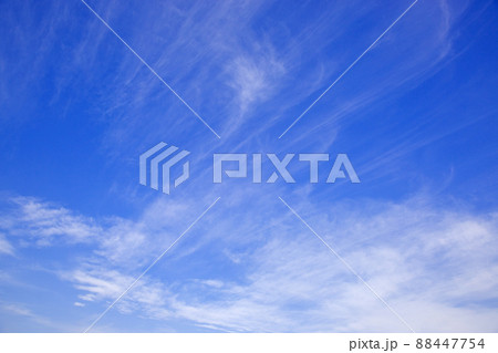 渥美半島の青い空 88447754