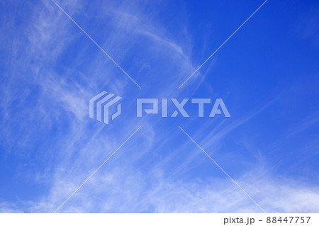 渥美半島の青い空 88447757