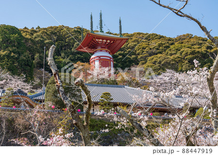 【第23番札所】春の薬王寺　瑜祇塔【四国八十八箇所】 88447919