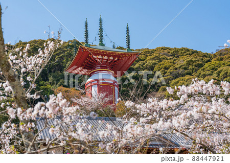 【第23番札所】春の薬王寺　瑜祇塔【四国八十八箇所】 88447921