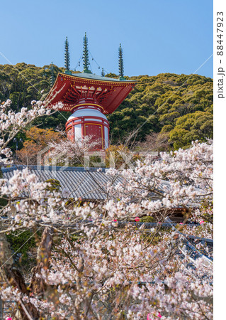 【第23番札所】春の薬王寺 瑜祇塔【四国八十八箇所】 【第23番札所】春の薬王寺 瑜祇塔【四国八十八箇所】 88447923