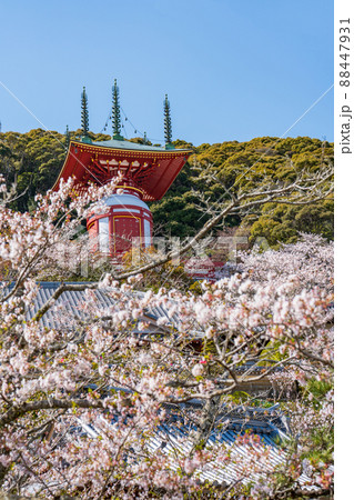 【第23番札所】春の薬王寺 瑜祇塔【四国八十八箇所】 【第23番札所】春の薬王寺 瑜祇塔【四国八十八箇所】 88447931