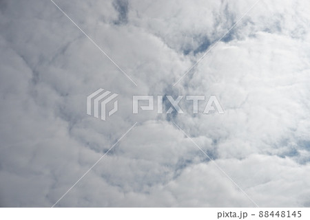 雲 雲 88448145