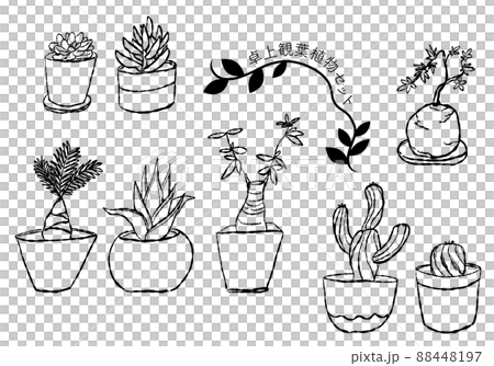 Tabletop foliage plant set / line only 88448197