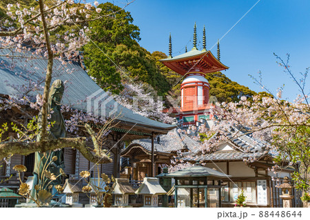 【第23番札所】春の薬王寺　瑜祇塔【四国八十八箇所】 88448644