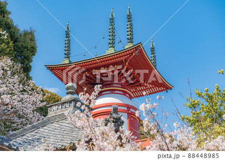 【第23番札所】春の薬王寺 瑜祇塔【四国八十八箇所】 【第23番札所】春の薬王寺 瑜祇塔【四国八十八箇所】 88448985
