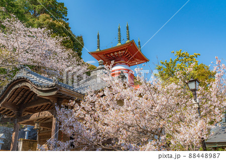 【第23番札所】春の薬王寺 瑜祇塔【四国八十八箇所】 【第23番札所】春の薬王寺 瑜祇塔【四国八十八箇所】 88448987