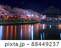 夜桜ライトアップ　夜景　春の風景さくら　上沼公園 88449237