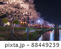 夜桜ライトアップ　夜景　春の風景さくら　上沼公園 88449239