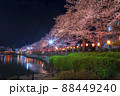 夜桜ライトアップ　夜景　春の風景さくら　上沼公園 88449240