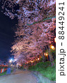 夜桜ライトアップ　夜景　春の風景さくら　上沼公園 88449241