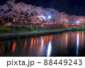 夜桜ライトアップ　夜景　春の風景さくら　上沼公園 88449243