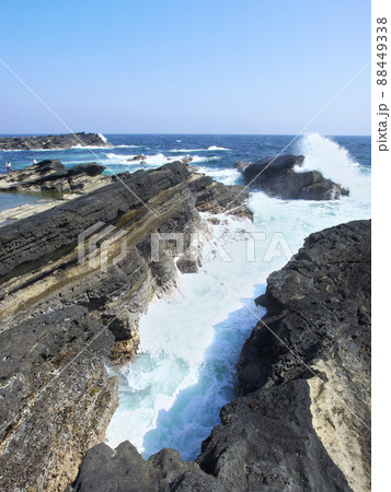荒波の城ヶ島 自然風景 荒波の城ヶ島 自然風景 88449338
