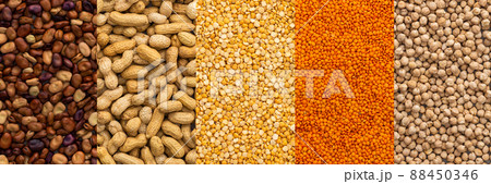 Different types of legumes 88450346