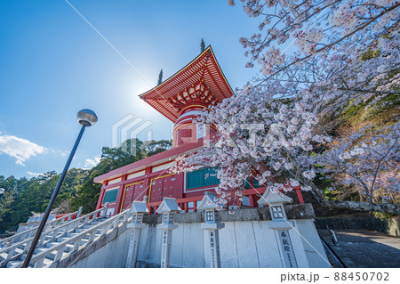 【第23番札所】春の薬王寺　瑜祇塔【四国八十八箇所】 88450702