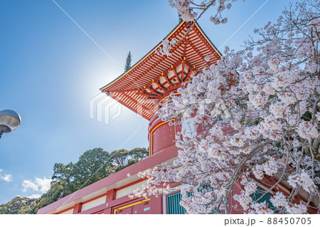 【第23番札所】春の薬王寺 瑜祇塔【四国八十八箇所】 【第23番札所】春の薬王寺 瑜祇塔【四国八十八箇所】 88450705