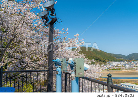 【第23番札所】春の薬王寺の桜四国八十八箇所】 88450802