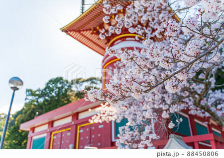 【第23番札所】春の薬王寺 瑜祇塔【四国八十八箇所】 【第23番札所】春の薬王寺 瑜祇塔【四国八十八箇所】 88450806